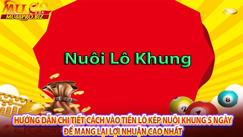 Hướng dẫn chi tiết cách vào tiền lô kép nuôi khung 5 ngày để mang lại lợi nhuận cao nhất