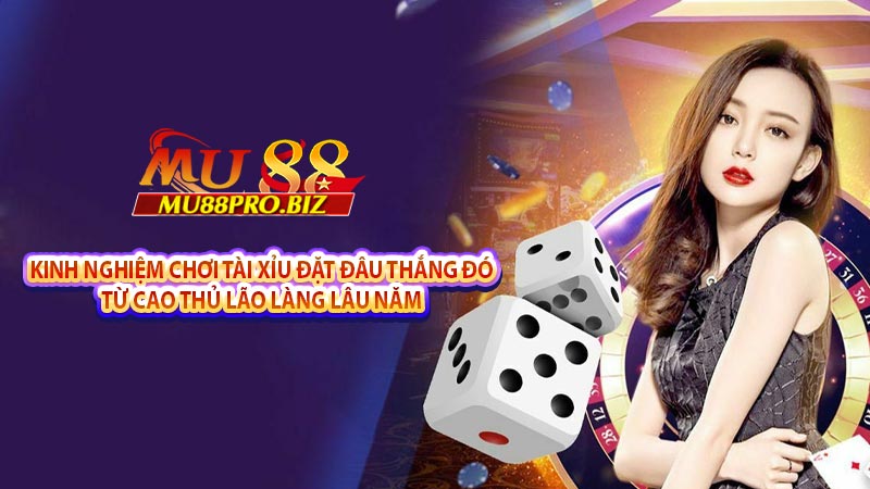 Kinh nghiệm chơi tài xỉu đặt đâu thắng đó từ cao thủ lão làng lâu năm