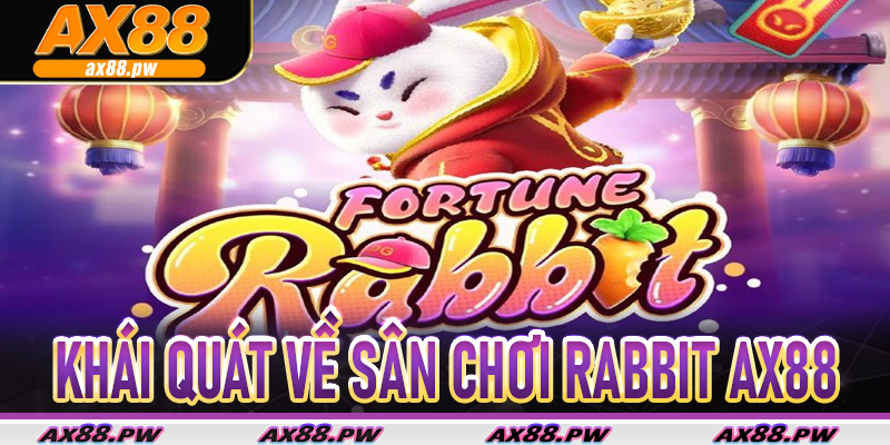 Khái Quát Về Sân Chơi Rabbit Ax88