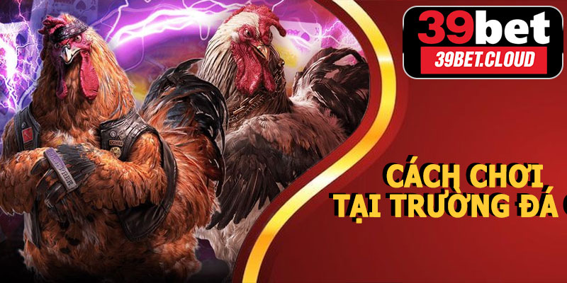 Cách Chơi Tại Trường Đá Gà Campuchia 39BET