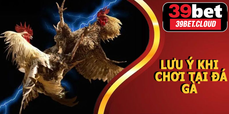 Lưu Ý Khi Chơi Tại Đá Gà Campuchia 39BET