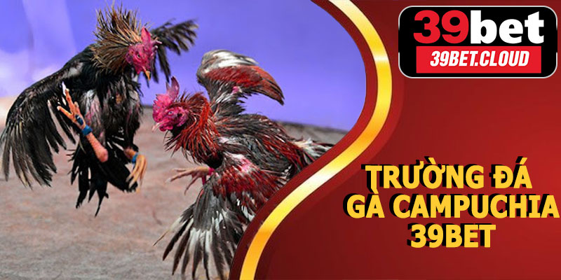 Trường Đá Gà Campuchia 39BET – Trải Nghiệm Đá Gà Online Đỉnh Cao